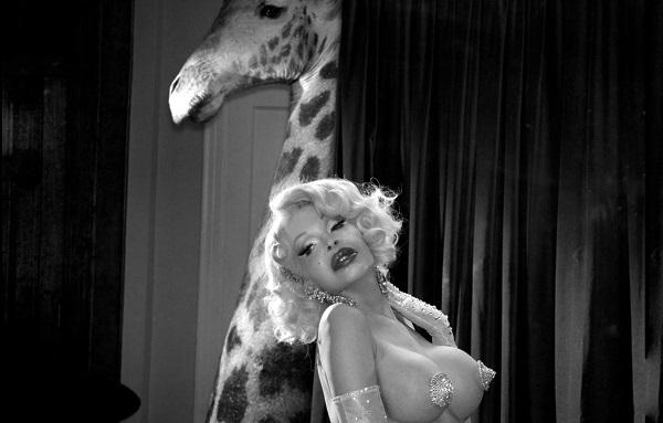 Amanda Lapore - PHOTO CREDIT: MARCO OVANDO