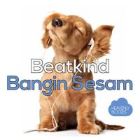 NEW MUSIC: Have Fun With Beatkind's New Single Bangin Sesam
