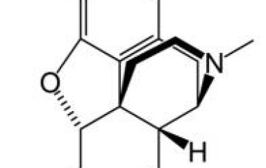 WEEKENDMIX 3.5.10: FROM TECH TO UPLIFTING BY MORPHINE