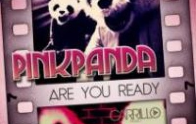 ARTIST SPOTLITE: PINK PANDA – YEAR OF THE PANDA 2014