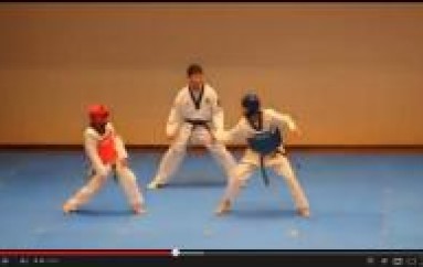 REMIX CULTURE: Taekwondo Match Turns Into Dance Battle