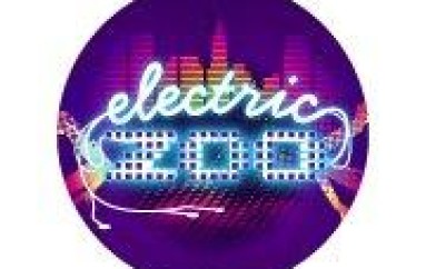 Electric Zoo 2012 Tix Already On Sale? Yep!