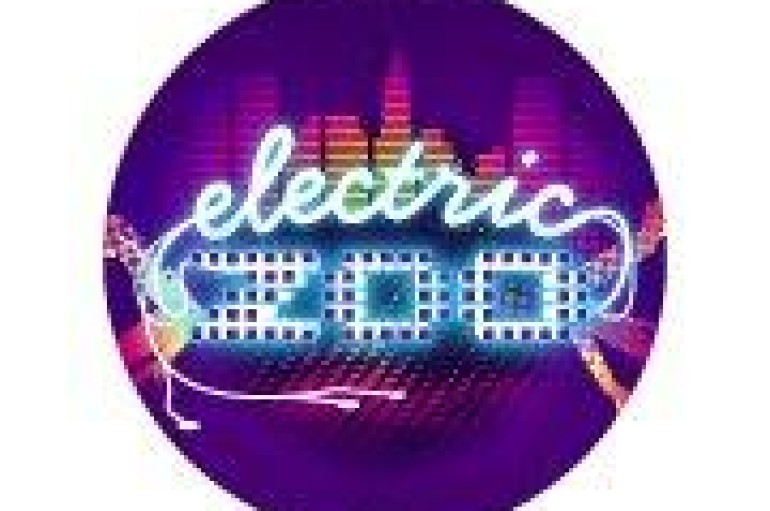 Electric Zoo 2012 Tix Already On Sale? Yep!